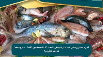 قفزة مفاجئة في أسعار البلطي الأحد 10 أغسطس 2025.. كم وصلت تكلفة الكيلو؟
